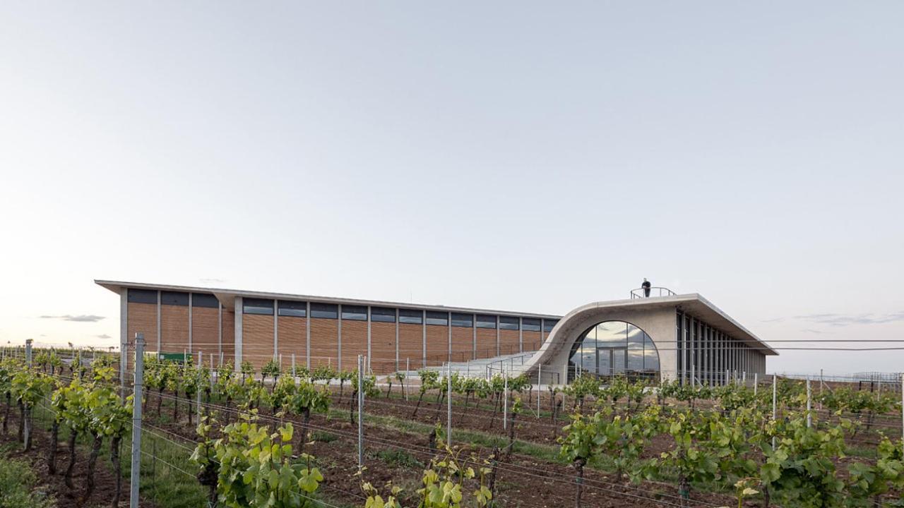 Wine House Znojmo Villa Kültér fotó